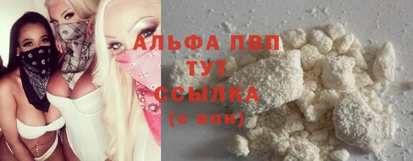 прущие грибы Заводоуковск