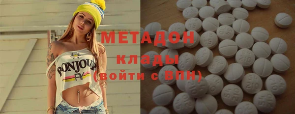 прущие грибы Заводоуковск