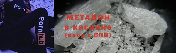прущие грибы Заводоуковск