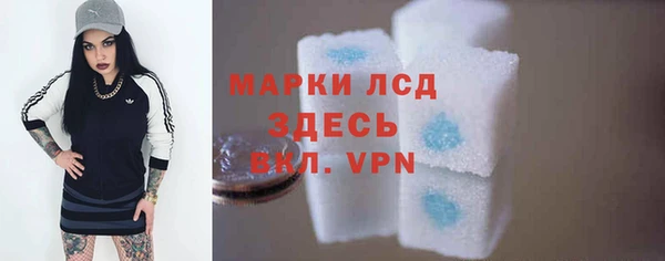 прущие грибы Заводоуковск