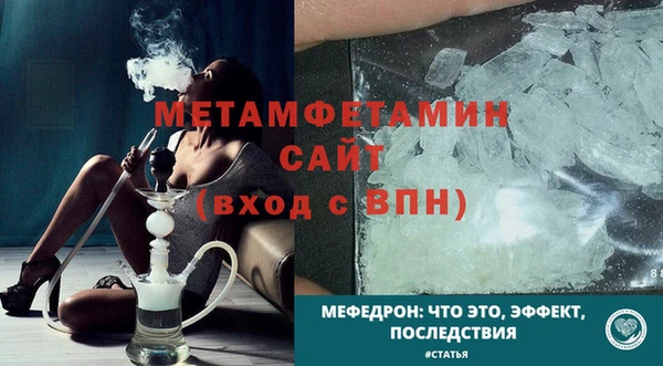 прущие грибы Заводоуковск