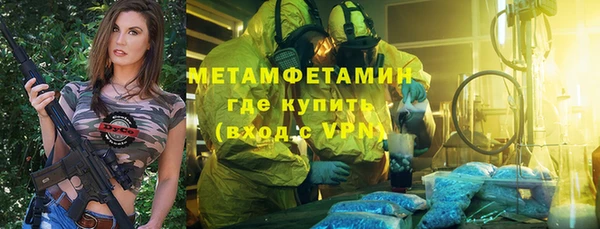 прущие грибы Заводоуковск